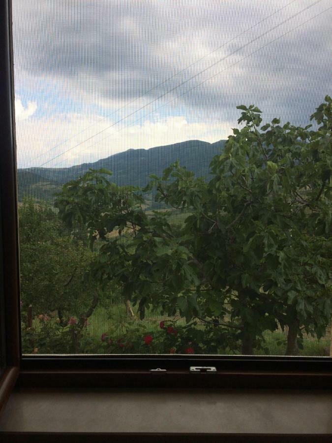 La Casa Nel Verde Castelmezzano Bagian luar foto